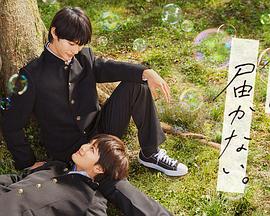 襄州网站优化公司电话